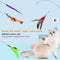 Hianjoo Feather Teaser Cat Toy Set 12 pcs, Interactive Toys for Cats 2 Retractable Cat Wand Funny Sticks and 10 Replacement Feather Teaser with Bell for Kitten Cat Catcher Having Fun Exercise Playing