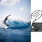 ZCCO Wetsuit Pants Shorts Men Women 2mm Neoprene Shorts for Swimming Surfing Snorkeling Diving Boating Scuba(Men 4XL)