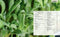 Home Hydroponics: Small-space DIY growing systems for the kitchen, dining room, living room, bedroom, and bath