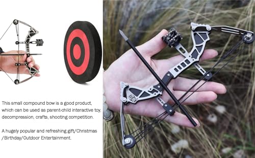 20-55lbs Compound Bow Arrow Set Archery Bow Kit Hunting Target Shootin