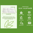 Vplus 100% Compostable 5 Compartment Plates 125 Pack Eco-Friendly Disposable Sugarcane 10 * 8 inch Bagasse School Lunch Tray Perfect for Boys and Girls