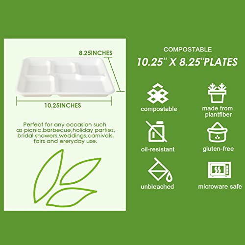 Vplus 100% Compostable 5 Compartment Plates 125 Pack Eco-Friendly Disposable Sugarcane 10 * 8 inch Bagasse School Lunch Tray Perfect for Boys and Girls