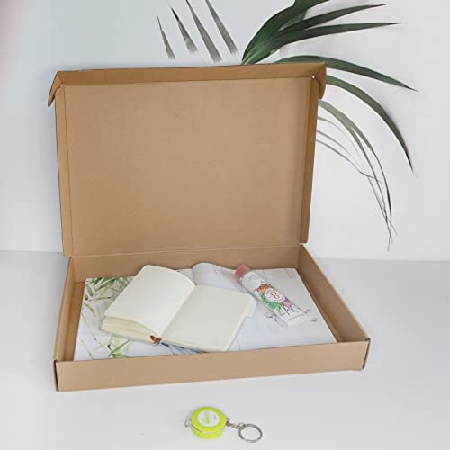 Corrugated Cardboard Shipping Boxes, 420x280x50mm Small Parcel Boxes, Packaging Mailing Boxes for Business, Posting, Small Packet Shipping, Storing or Gift(Pack of 5)