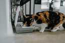 Cat Mate C200 2 Meal Automatic Pet Feeder for Cats and Small Dogs with Ice Pack, White