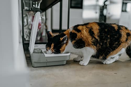 Cat Mate C200 2 Meal Automatic Pet Feeder for Cats and Small Dogs with Ice Pack, White