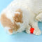 Flamaker Cat Toy Balls with 80Pcs Pompom Ball 1 Launcher Interactive Cat Balls Active Cat Exercise Toys for Indoor Cats with 3 Balls + 80 Pompom Ball
