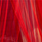 Zhiyuan Lace Embroidery Dome Red Bed Netting Canopy Curtain Mosquito Net for All Sizes Bed
