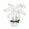 Ziwon Artificial Orchid Flowers & Plants Potted in Ceramic Pot, White Faux Phalaenopsis Orchids for Table Centerpiece, Realistic Fake Flower Arrangement for Home Office Decor Indoor