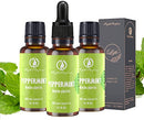 RythParfum Peppermint Essential Oil with Dropper|100% Pure,Undiluted Natural Mint Oil for Diffuser,Humidifier,Aromatherapy| Peppermint Oil for Hair,Massager Fresh,Relax (Pack of 3 oz)