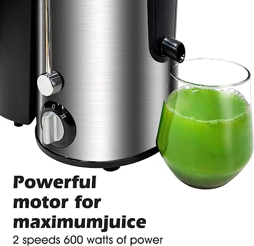 ADVWIN Electric Slow Juicer, Fruits & Vegetables Juicer, Stainless Steel Cold Press Juicer with Easy to Clean | BPA Free