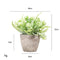 Artigreen Mini Artificial Plants Potted 6 Pcs,Fake Potted Green Flower, Suitable for Office Desk Coffee Table Bathroom Bedroom Home Decorations