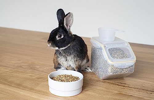 Lock & Lock Pet Food Storage Container, 5 Litre Capacity, Small