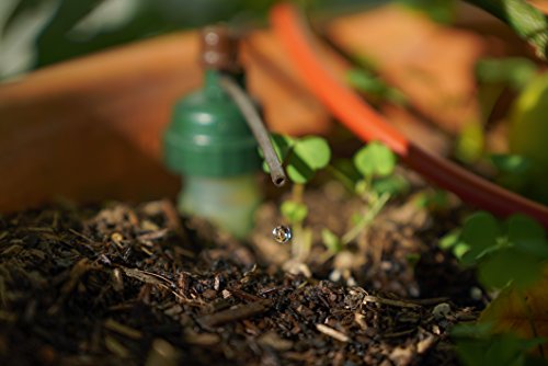 Blumat Tropf Medium Box Kit - Automatic Irrigation for Up To 12 Plants (12 Pack), Water Up to 12 Plants | Garden, Patio, Hanging Baskets, Raised Bed, Greenhouse | Sustainable Outdoor Irrigation System