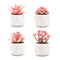 VIVERIE Pink Indoor Fake Plants in White Ceramic Succulent Pots (Set of 4) - Mini Bonsai Tree for Office Desk, House Decor, Cute Kawaii Room Decor, Zen Garden, Cottagecore Decor, Wedding Decorations