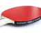 Palio Expert 3.0 Table Tennis Bat & Case - ITTF Approved, Beginner Ping Pong Racket