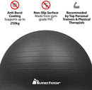 Meteor Essential Anti-Burst Swiss Ball - Premium Quality Exercise Ball for Pilates, Yoga, Balance & Fitness with Air Pump