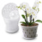 Lanccona Orchid Pot, 7 Inch 8 Pack Orchid Pots with Holes and Saucers, Clear Plastic Plant Pot Indoor