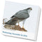 Audubon Birds Page-A-Day Calendar 2024: The World's Favorite Bird Calendar