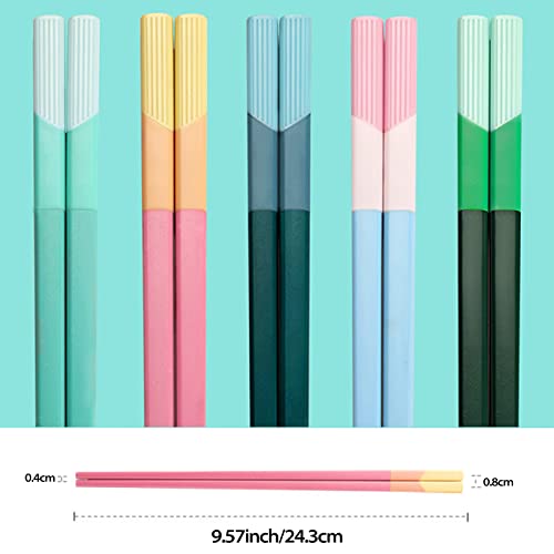 5 Pairs Fiberglass Chopsticks-Reusable Chopsticks Dishwasher Safe, 9.6 inch/24.3cm Matte Non-Slip Family/ Hotel/ Restaurant Chop Sticks, Chinese/Japanese Hair Chopstick Gift Set, Morandi Multicolor