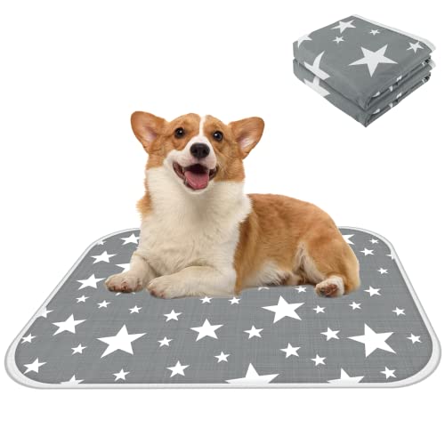 LONENESSL Pee Pad for Dogs 2 Pack, Washable Puppy Pads for Potty Training, Eco-Friendly Reusable Puppy Training Pads Puppy Pet Dog Indoor Cat Toilet Training Pads Dog Mat Super Absorbent 50*70CM