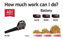Oregon Cordless BL300 40V 151 MPH Leaf Blower with 4.0Ah Battery and Charger