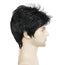 Lydell Men Wig Natural Short Straight Hair Synthetic Full Wigs (Natural Black)