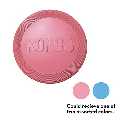 KONG - Puppy Flyer - Teething Rubber, Flying Disc Dog Toy (Assorted Colours) - for Small Puppies