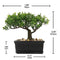 U/S Bonsai Tree, Fake Plants Ceramic Potted Tree Artificial Japanese Cedar Bonsai Tree Decoration for Home Desk Office Bathroom Kitchen Farmhouse Indoor/Outdoor (Bonsai Tree