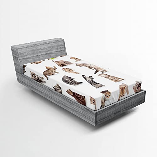 Ambesonne Cat Fitted Sheet, Illustration of Funny Playful Cats on Plain Background Animals Kitten Pattern, Soft Decorative Fabric Bedding All-Round Elastic Pocket, Twin Size, Black Beige