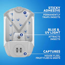 ZEVO Electric Flying Insect Trap Starter KIT | Device | Model 3 | Mosquito Killer| Fruit Fly Trap | UV Light attracts Insect |