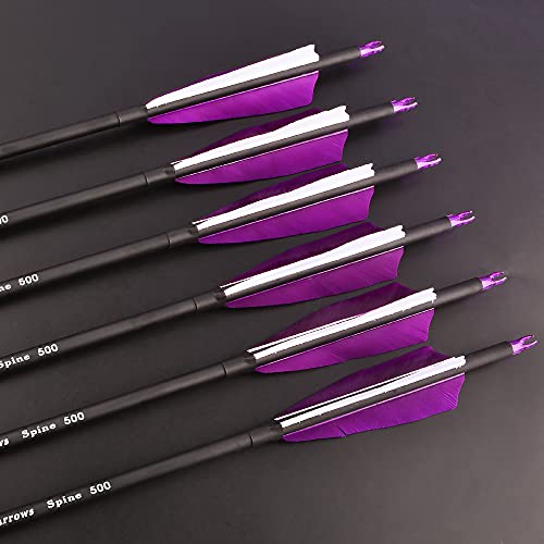 ZSHJGJR 30 Inch Archery Carbon Arrows Hunting Arrows with 4” Turkey Feather Targeting Practice Arrows Spine 500 for Compound & Recurve & Traditional Bow 6/12pcs (12 x Purple Arrows)