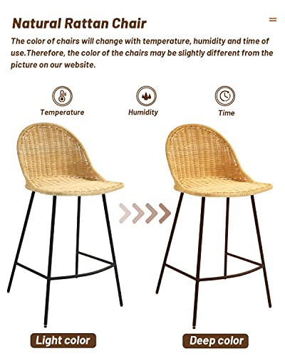 ECLYL Dining Chairs Set of 2, Woven Rattan Chair, Rattan Counter Stools with Backs for Kitchen Counter, Dining Room, Coffee Bar