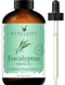 Handcraft Eucalyptus Essential Oil - Huge 4 OZ - 100% Pure & Natural - Premium Therapeutic Grade with Premium Glass Dropper