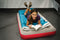 Coleman Quickbed Airbed, Gray/Red, Twin