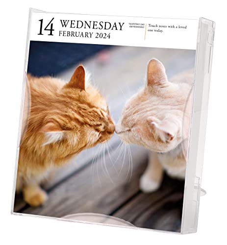 Cat Page-A-Day Gallery Calendar 2024: A Delightful Gallery of Cats for Your Desktop