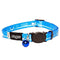 Rogz Kiddycat Safeloc Cat Collar Blue Small with Variable Load Safety Release Buckle