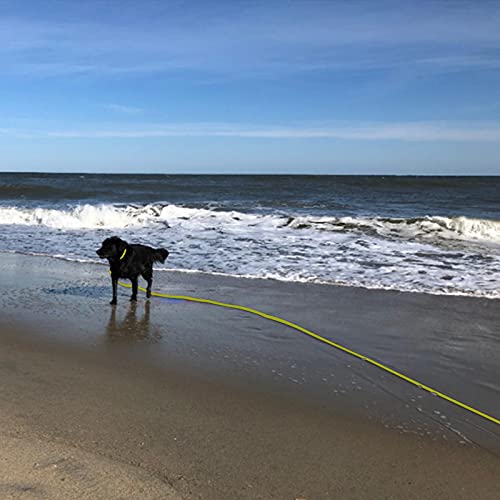 Waterproof Long Leash Durable Dog Recall Training Lead Great for Outdoor Hiking, Training, Yard, Beach and Swimming (Yellow, 15ft)