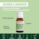 Pranarôm - Eucalyptus Radiata Essential Oil - Leaf - 10 ml