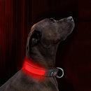 LED Dog Collar Light Up Dog Collar USB Rechargeable Waterproof,Night Dog Band with 3 Glowing Modes,Makes Your Dog Visible, Safe & Seen (Red, M)