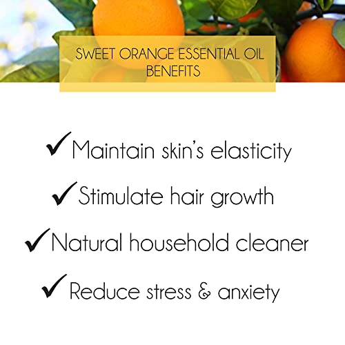 Sweet Orange Oil For Skin Care, Diffusers, Candles 10ml | 100% Pure Aromatherapy Essential Oil