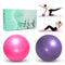 TopBine 9 Inch Exercise Pilates Ball -(2 Pcs) Stability Ball for Yoga, Barre, Training and Physical Therapy- Improves Balance, Core Strength, Back Pain & Posture- Comes with Inflatable Straw