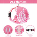 EXPAWLORER Small Dog Harness and Leash Set Girl - Cute Dog Harness for Female Dogs, Soft Mesh Breathable Vest Harness with Lovely Ribbon for Puppies, Adjustable Step-in Dog Harness for Walking