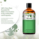 PHATOIL Tea Tree Essential Oil 100ML, Essential Oils for Diffuser, Humidifier, Aromatherapy, DIY Candle and Scented Products Making (Tea Tree, 100ml)