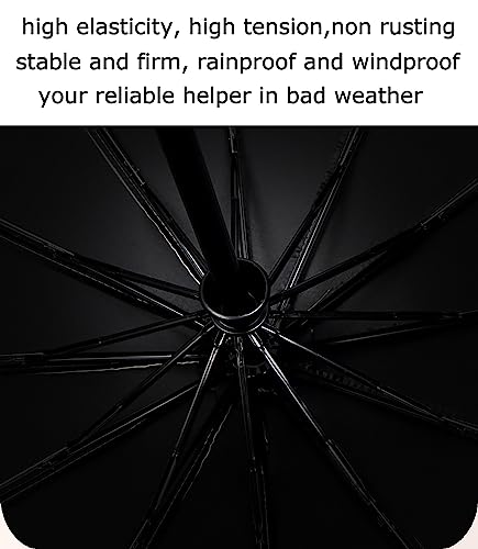 iEDS Windproof Travel Umbrella,Automatic Opening And Closing,Compact, Sturdy, and Lightweight,Sun Umbrella UV Protection,Large Rain Folding Umbrella 12 ribs (Black)