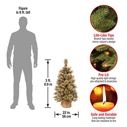 National Tree Company Pre-lit Artificial Mini Christmas Tree | Includes Small White LED Lights, White Tipped Cones, Glitter Branches Pine Cones and Cloth Bag Base | Glittery Bristle Pine - 3 ft