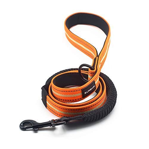 Bungee Dog Leash Shock Absorbing Reflective Pet Training Leash with Soft Padded Traffic Handle That Softens Pulls & Stops for Safer Dog Walking-3.6FT,Orange