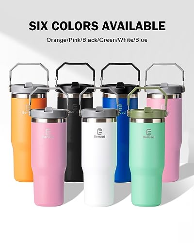 Berusd 900ml Stainless Steel Tumbler with Handle and Straw Lid, Vacuum Insulated Coffee Cup for Home or Car, Travel Mug, Leakproof Double Walled Insulated Water Bottle, Thermo Mug Drink Bottle Black