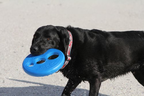 Rogz Soft Fetch Frisbee Dog Toy Blue Large