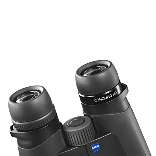 Zeiss 10x32 Conquest HD Binocular with LotuTec Protective Coating (Black)