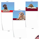 10 All Occasion Dog Note Cards with Envelopes 4 x 5.12 inch - Assorted Blank Greeting Cards 'Reading Eye Dogs' - Cute Puppy in Glasses Notecards for School Kids, Teachers, Book Lovers M3967sl